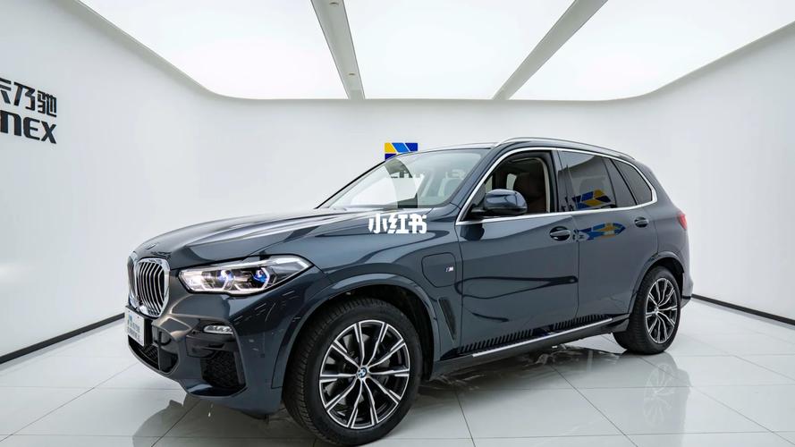 国产宝马x5插电混动(宝马x5 插电混动 2021款 xdrive45e m运动套装)