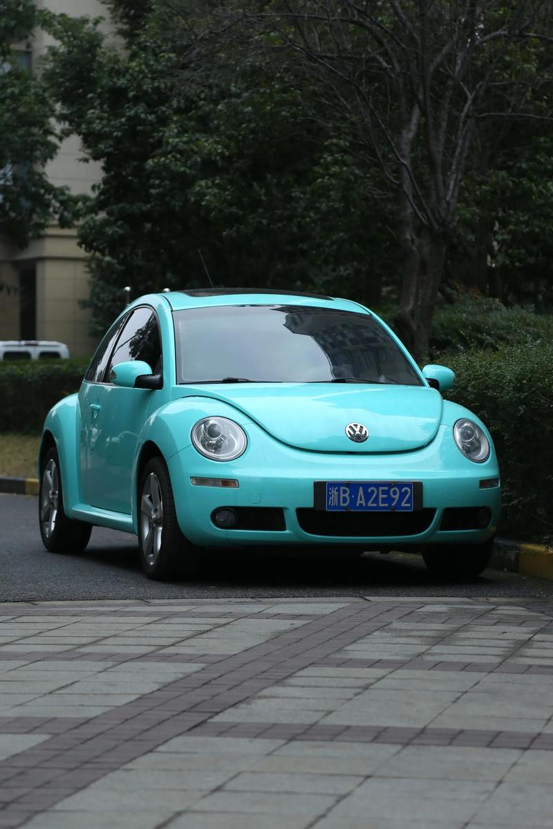 甲壳虫昆虫,甲壳虫昆虫多少钱一只