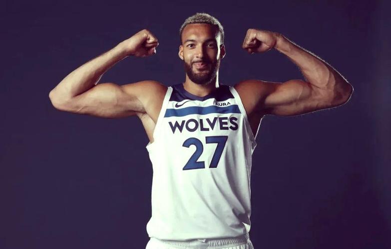 森林狼vs戈贝尔(森林狼戈贝尔交易价值多少)