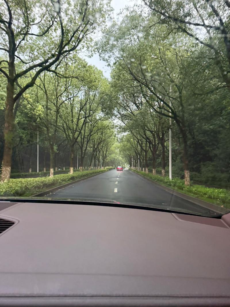 林荫大道算不算豪车 林荫大道好开吗