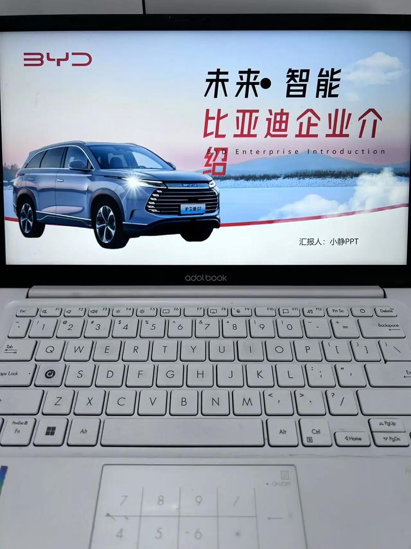 byd是什么意思,BYD是什么意思