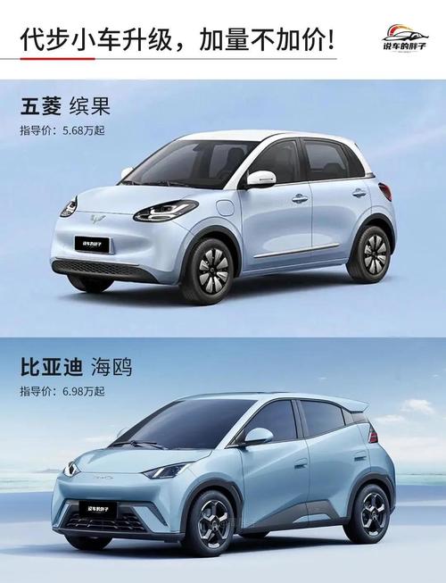 五菱缤果和比亚迪海鸥哪个好,五菱缤果和比亚迪海鸥哪个好开
