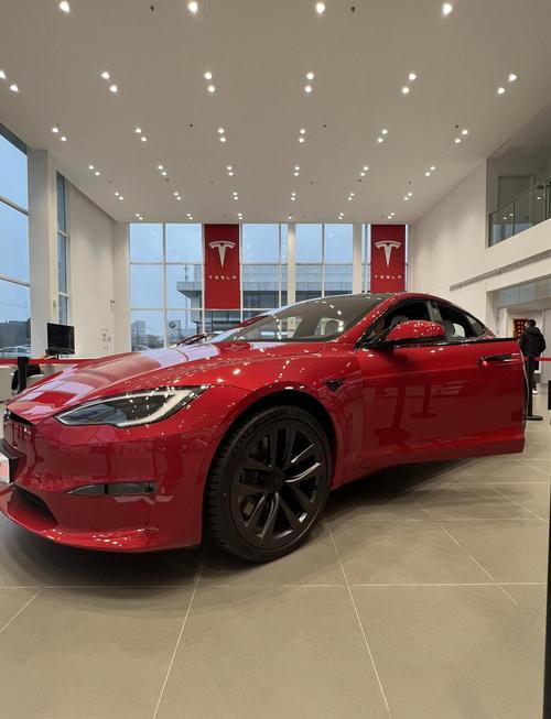 特斯拉s 特斯拉suv