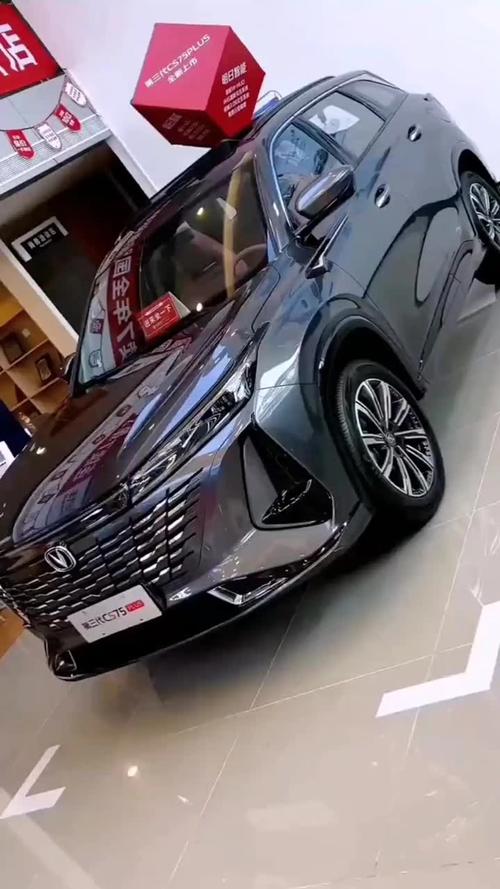 真正的国产车有哪些(真正的纯国产车)