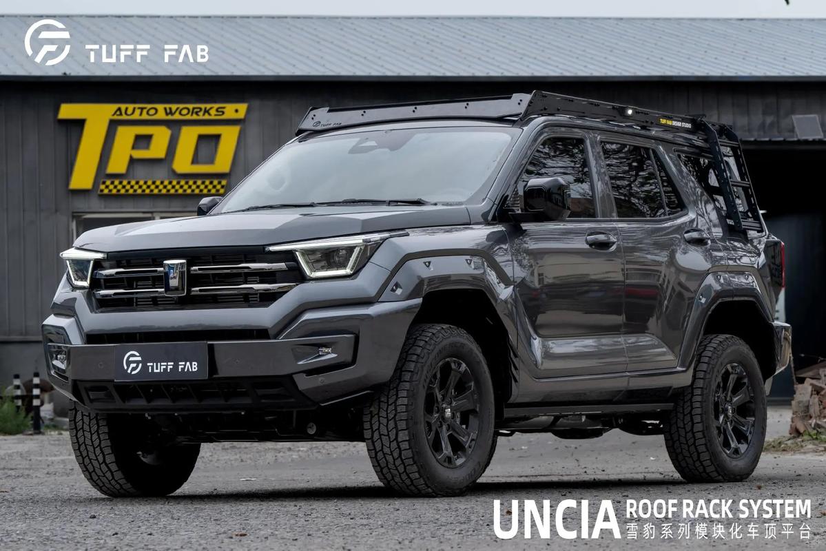 【雪豹车图片大全,雪豹汽车图片】