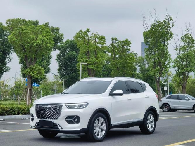 哈弗h6国潮版缺点,哈弗h6国潮版推荐