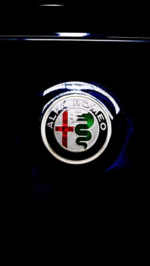 阿尔法汽车车标,阿尔法汽车车标是什么