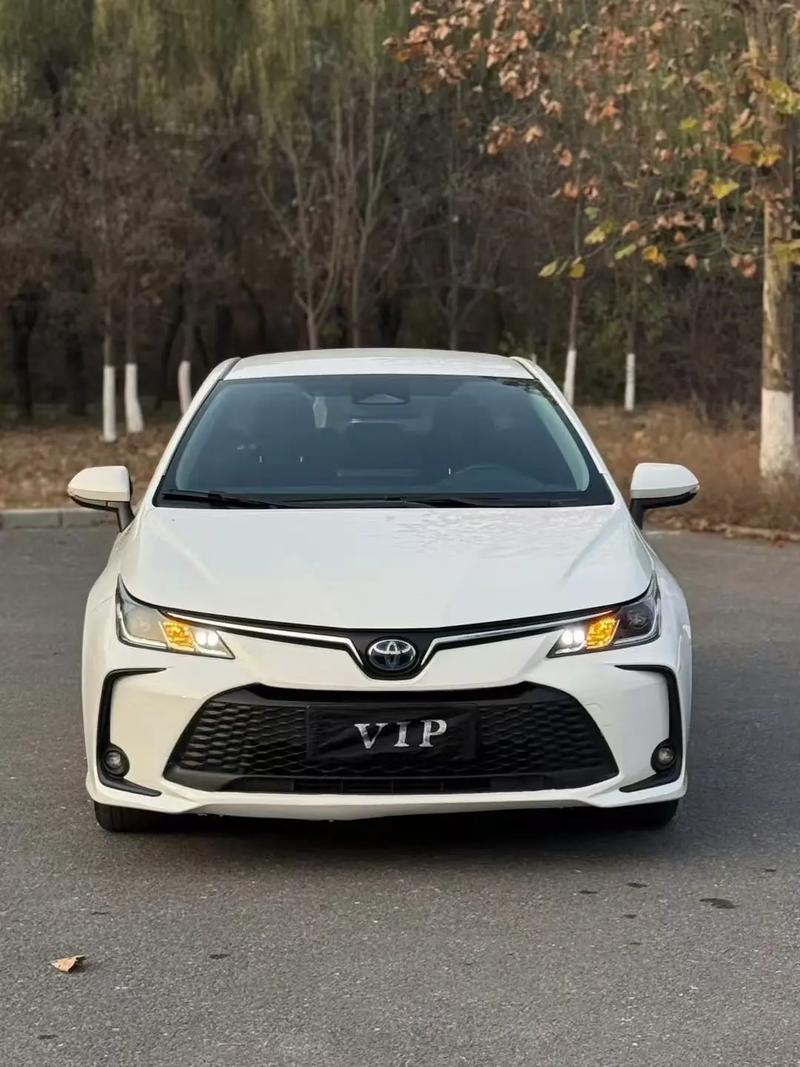 丰田卡罗拉混动汽车/丰田卡罗拉混动汽车排名