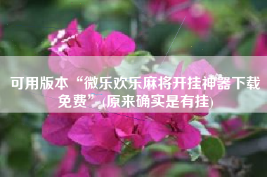 可用版本“微乐欢乐麻将开挂神器下载免费	”(原来确实是有挂)