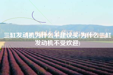 三缸发动机为什么不建议买(为什么三缸发动机不受欢迎)