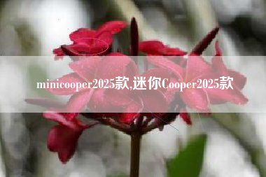 minicooper2025款,迷你Cooper2025款