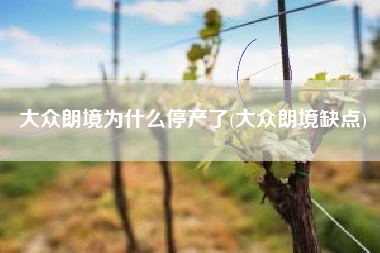 大众朗境为什么停产了(大众朗境缺点)