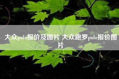 大众polo报价及图片 大众跑罗polo报价图片