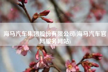 海马汽车集团股份有限公司(海马汽车官网服务网站)