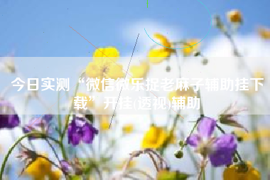 今日实测“微信微乐捉老麻子辅助挂下载”开挂(透视)辅助