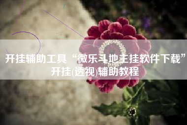 开挂辅助工具“微乐斗地主挂软件下载”开挂(透视)辅助教程