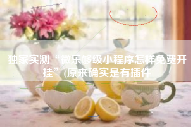 独家实测“微乐够级小程序怎样免费开挂”(原来确实是有插件