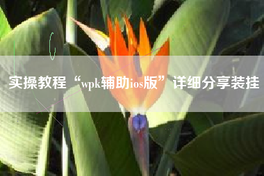 实操教程“wpk辅助ios版”详细分享装挂