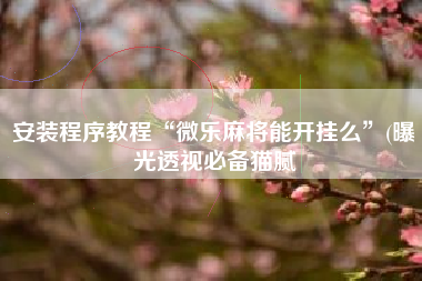 安装程序教程“微乐麻将能开挂么”(曝光透视必备猫腻