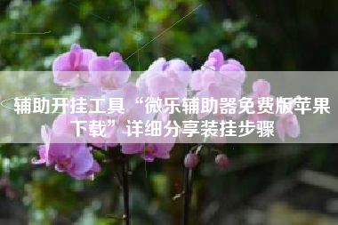 辅助开挂工具“微乐辅助器免费版苹果下载”详细分享装挂步骤