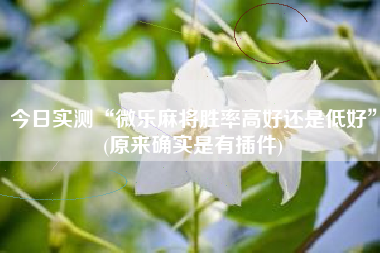 今日实测“微乐麻将胜率高好还是低好”(原来确实是有插件)