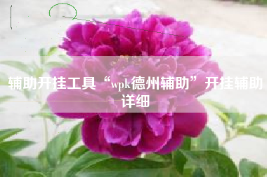 辅助开挂工具“wpk德州辅助”开挂辅助详细