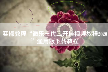 实操教程“微乐三代二开挂视频教程2020	”通用版下载教程