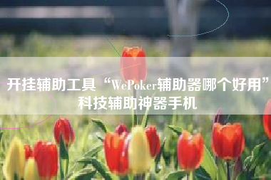 开挂辅助工具“WePoker辅助器哪个好用”科技辅助神器手机
