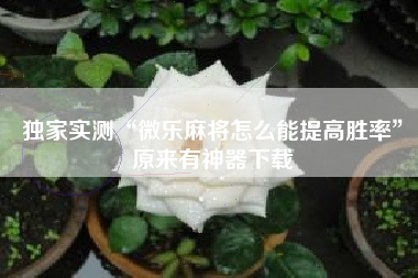 独家实测“微乐麻将怎么能提高胜率	”原来有神器下载