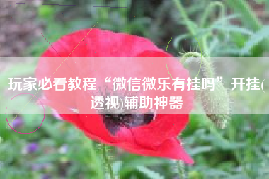 玩家必看教程“微信微乐有挂吗”开挂(透视)辅助神器