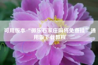 可用版本“微乐石家庄麻将免费挂”通用版下载教程