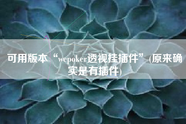可用版本“wepoker透视挂插件	”(原来确实是有插件)