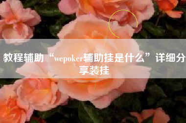 教程辅助“wepoker辅助挂是什么	”详细分享装挂
