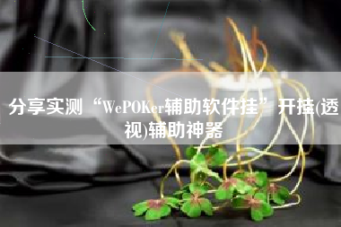 分享实测“WePOKer辅助软件挂”开挂(透视)辅助神器