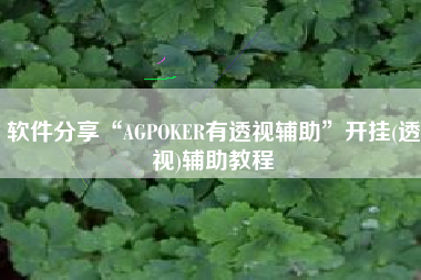 软件分享“AGPOKER有透视辅助”开挂(透视)辅助教程