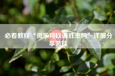 必看教程“微乐可以调胜率吗	”详细分享装挂