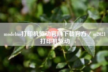 modelno打印机驱动官网下载官方／m2021打印机驱动