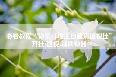 必看教程“微乐斗地主自建房透视挂”开挂(透视)辅助神器