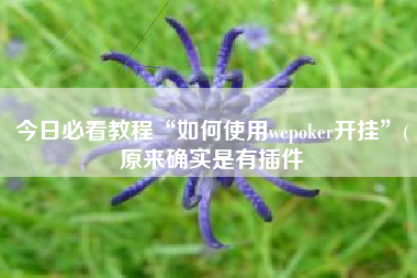 今日必看教程“如何使用wepoker开挂	”(原来确实是有插件