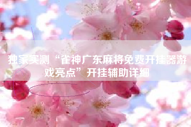 独家实测“雀神广东麻将免费开挂器游戏亮点”开挂辅助详细