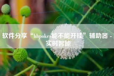 软件分享“hhpoker能不能开挂	”辅助器 - 实时智能