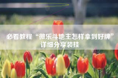 必看教程“微乐斗地主怎样拿到好牌”详细分享装挂