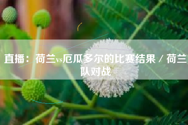 直播：荷兰vs厄瓜多尔的比赛结果／荷兰队对战