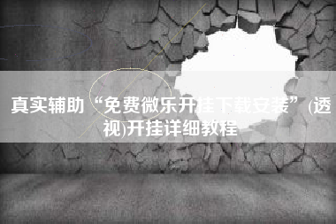 真实辅助“免费微乐开挂下载安装”(透视)开挂详细教程