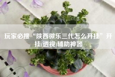 玩家必搜“陕西微乐三代怎么开挂”开挂(透视)辅助神器