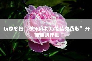 玩家必搜“微乐麻将万能挂免费版	”开挂辅助详细