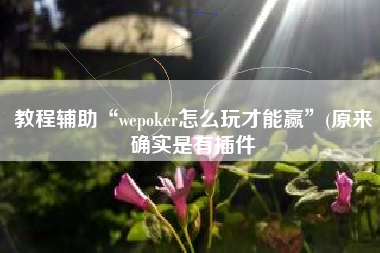 教程辅助“wepoker怎么玩才能赢”(原来确实是有插件
