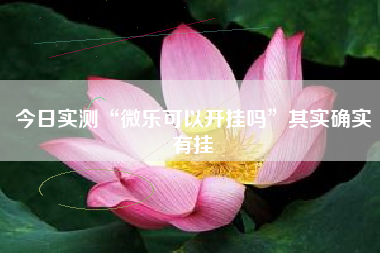今日实测“微乐可以开挂吗”其实确实有挂