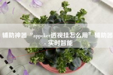辅助神器“appoker透视挂怎么用	”辅助器 - 实时智能