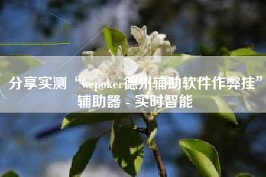 分享实测“wepoker德州辅助软件作弊挂”辅助器 - 实时智能